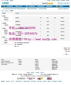 精致美国ebay代购网页设计、美国亚马逊代销系统推广_上海紫博蓝网络科技有限公司